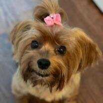 Diamond Hernandez