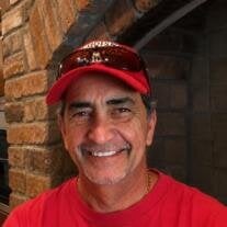 Mr Sam Falco
