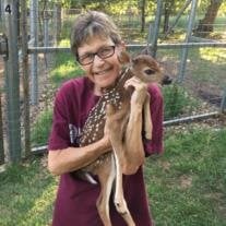 Kathy Diane Pool