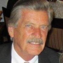 Ronald P. Lanie