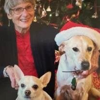 Delores Ann Johnson