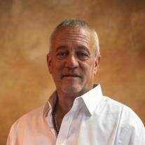 Mr. Mark Steven Holper