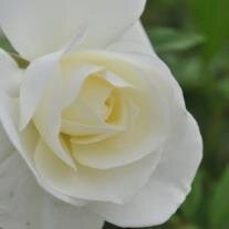 Martha Jane DeVaney