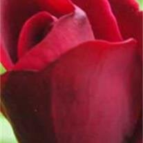 Diane M. Smith-Klingensmith