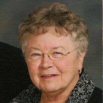 Nancy R. Niethammer