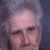 Andrew Holzemer