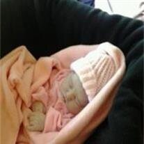 Baby Hailey Jo Demo