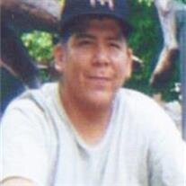 Ronald Dorr