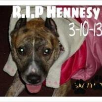 Hennesy Ortolaza