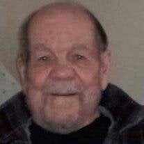 Mr. Robert  D.  Spicer
