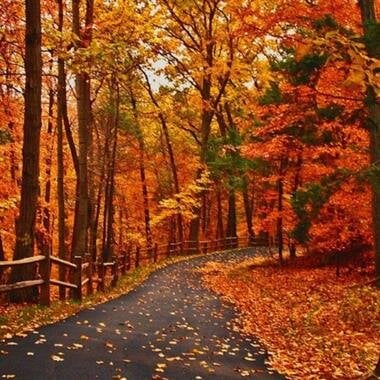 Richard A. Goode Sr.