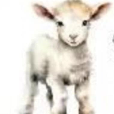 Baby Ozzy Mark Martin