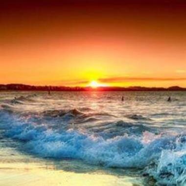 Brandon Boss Hogg Smith