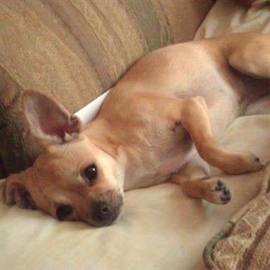 Bella "Isabella" Jones