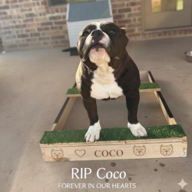 Coco