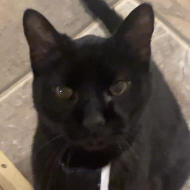 Sidney
