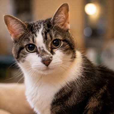 Toby