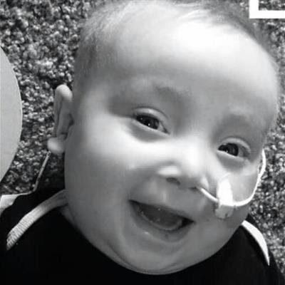 Zander David Gotham Hobizal