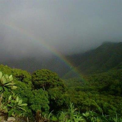 Kenneth Jitsuei Takamiya