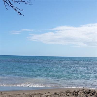 Charles Eugene Raine