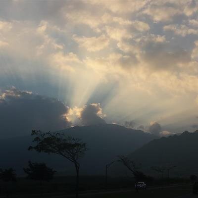 Blossom Hussey Vierra