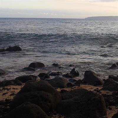 Daniel Hisao Watanabe