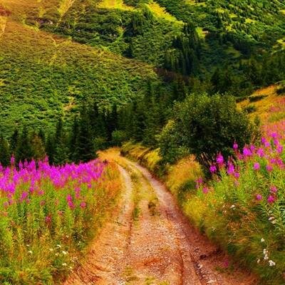 Elisabeth Samoylenko