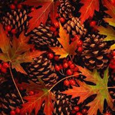 Teresa Tan Libatique