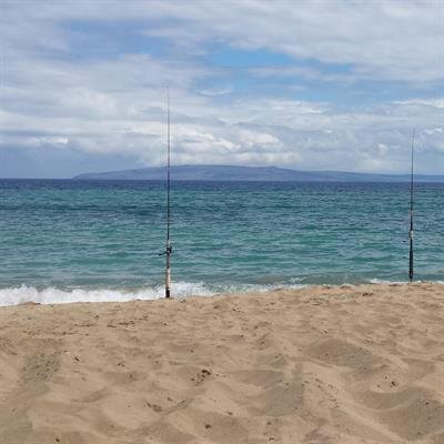 Shawn Vincent Villamor