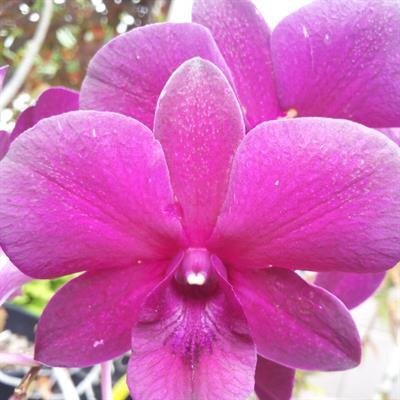 Tara Marie Engen Garcia