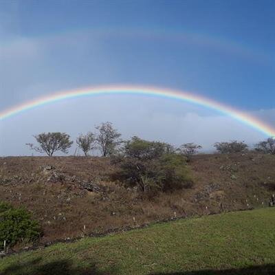 James Mamoru Itamura