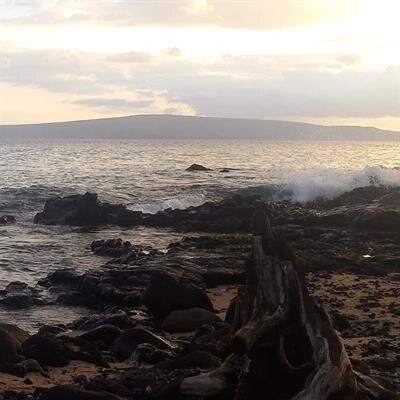 Julieta Cabarrubias Sedano