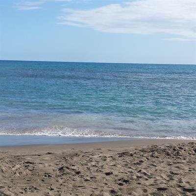 Donald M. (Mike) Moor