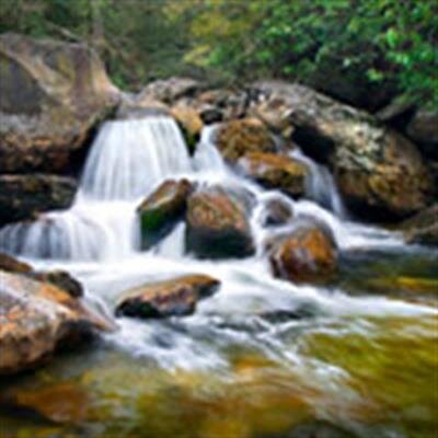 Jansen Gerald Curtis