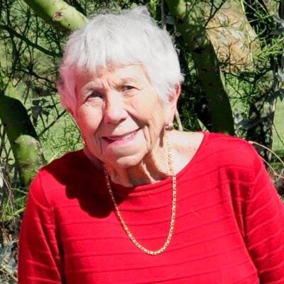Nancy C. Damiani