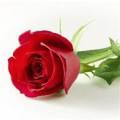 Gloria T Herrera Velasquez