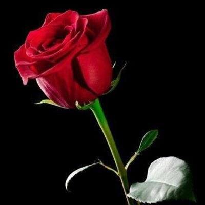 Alfredo Mejias Galvez