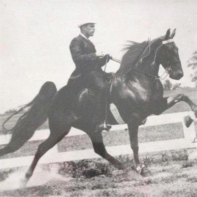 George Bicking Livingstone
