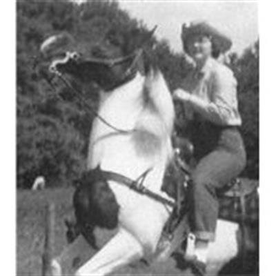 Judith A Hicks