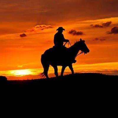 Francisco Najar Damian Sr.