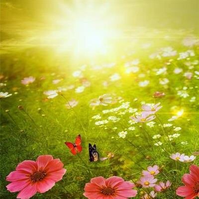 Miss. Courtney Lynn Carter