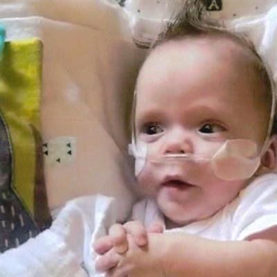 Kayn Alexander Whitehead