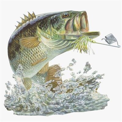 Robert Edward Powell Jr.