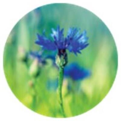 Juanita (Ramirez) Church