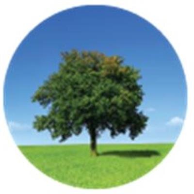 Phillip Robert Tobias