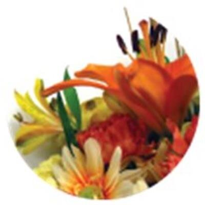 Rossanne (Berrigan) Williford