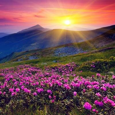 Carolyn Denise Dasinger