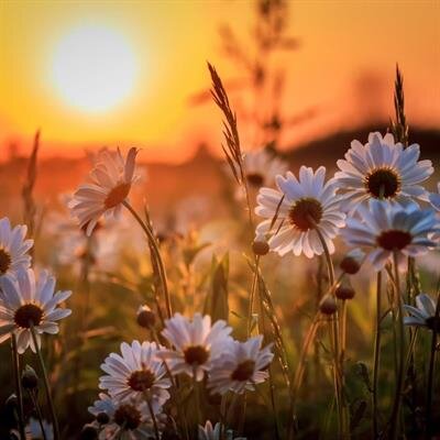 Kimberley Michelle Johnson