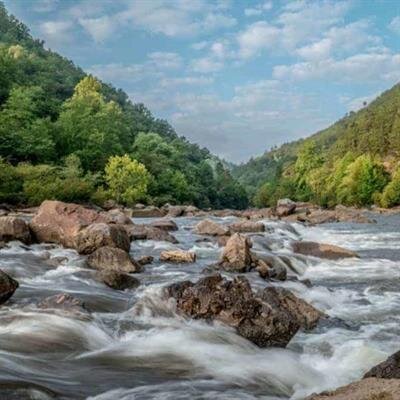 Anthony Wayne Cotham