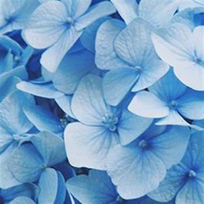 Opal Earline Zilbert